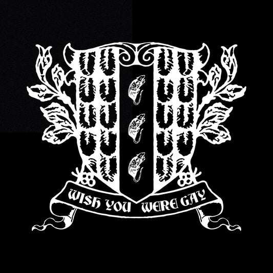 Imhof, Anne - Wish You Were Gay