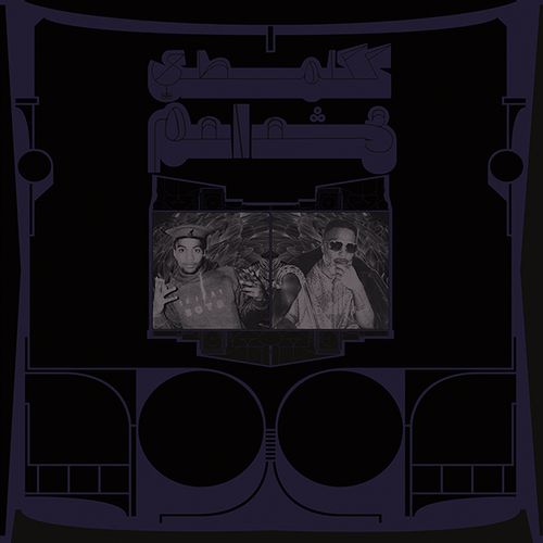 Shabazz Palaces - Exotic Birds Of Prey