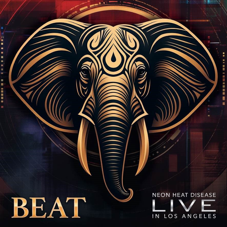 Beat, The - Live