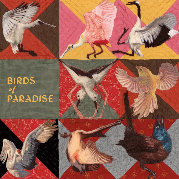 Dollbaum, Thomas - Birds of Paradise