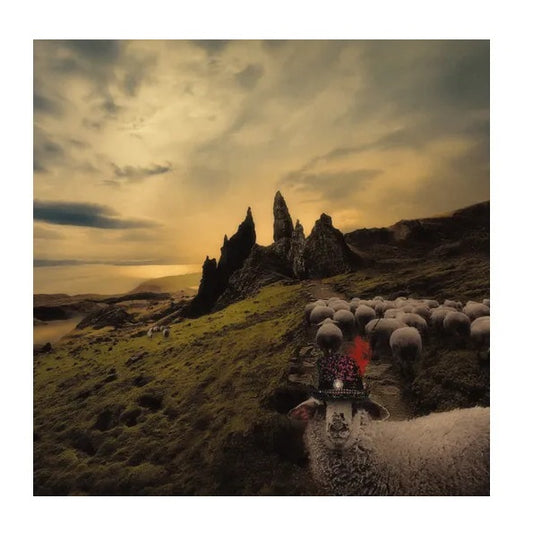 Carducci, Franck - Sheeple