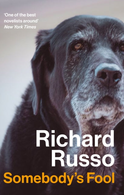 Russo, Richard - Somebody's Fool