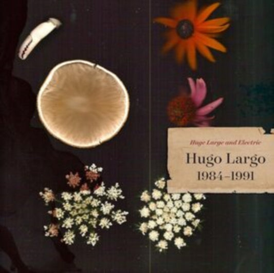 Hugo Largo - Huge, Large And Electric: Hugo Largo 1984-1991