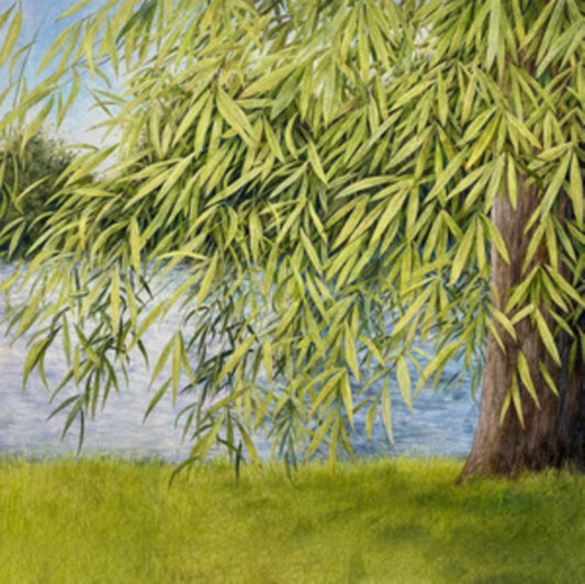 Simpson, Martin & Thomm Jutz - Nothing But Green Willow: The Songs Of Mary Sands And Jane Gentry