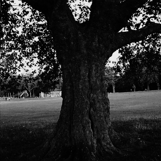 Marshall, Archy (King Krule) - A New Place 2 Drown (Instrumentals)