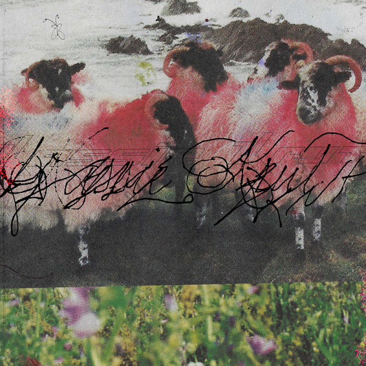 Kassie Krut - Kassie Krut (Expanded Edition)