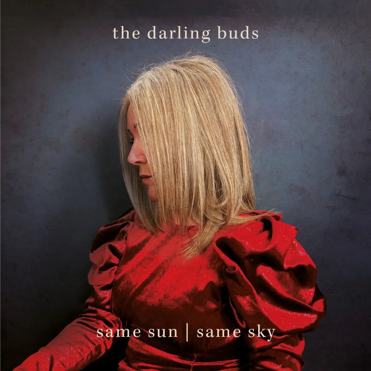 Darling Buds, The - Same Sun / Same Sky