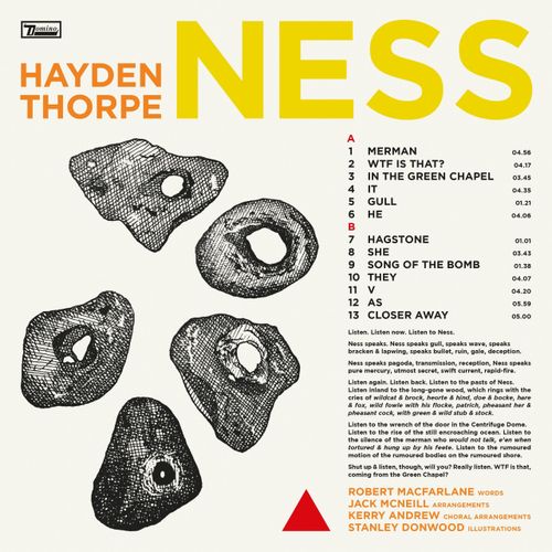 Thorpe, Hayden - Ness