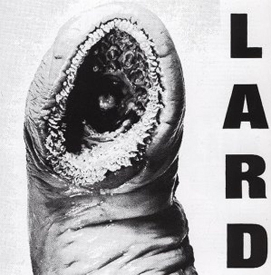 Lard - Power Of Lard (2025 Reissue)