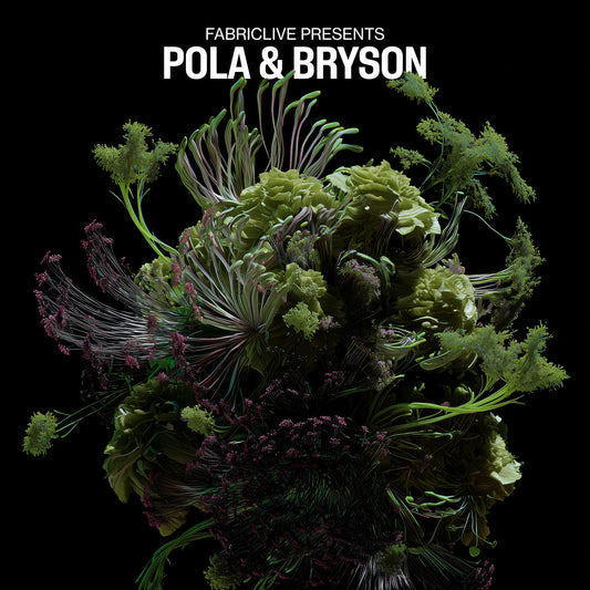 Pola & Bryson - FABRICLIVE presents: Pola & Bryson