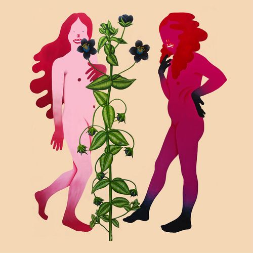 Someone Like Me - Various Artists