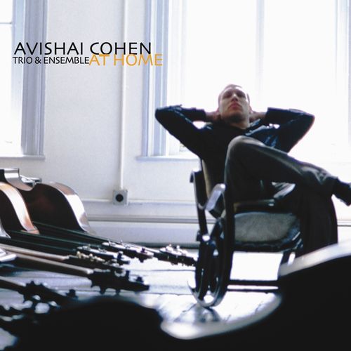 Cohen, Avishai Trio And Ensemble - At Home (20th Anniversary Edition | First Time On Vinyl!)