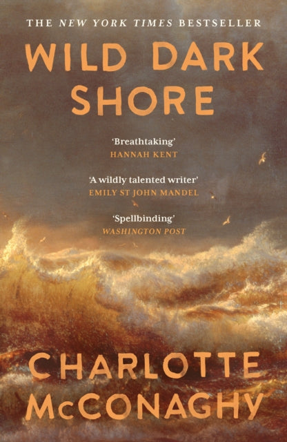 McConaghy, Charlotte - Wild Dark Shore