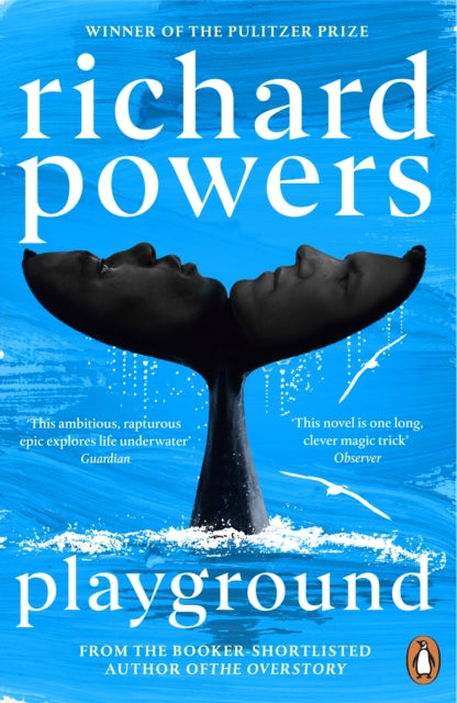 Powers, Richard - Playground