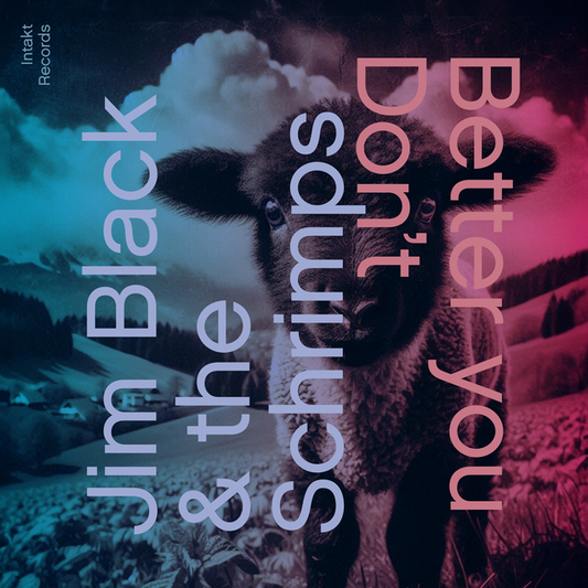 Black, Jim & The Schrimps - Better You Don't