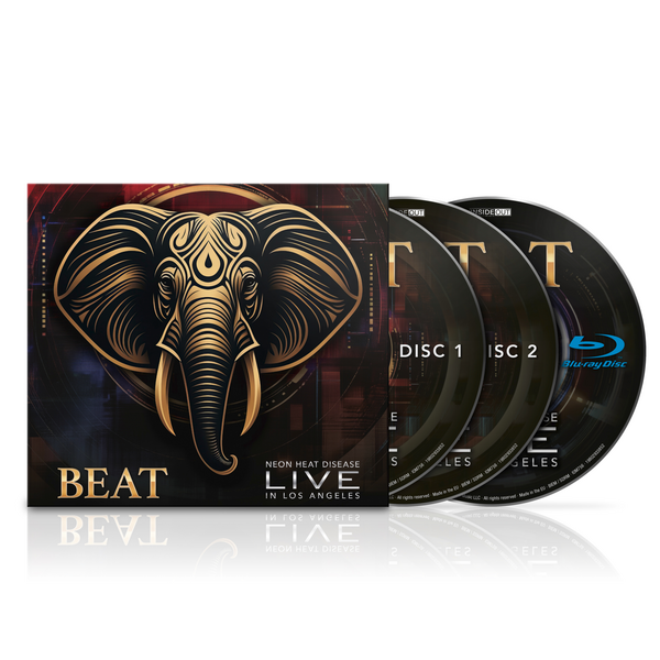 Beat, The - Live