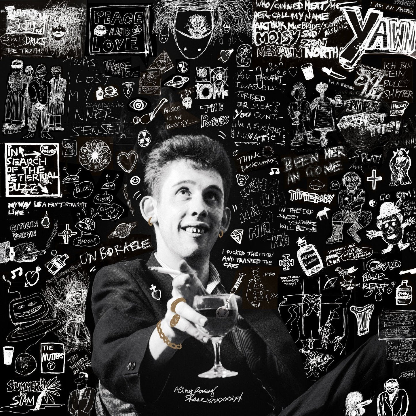 20th Century Paddy - The Songs of Shane MacGowan - Various Artists