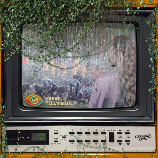 Cook, Elizabeth - Great Television