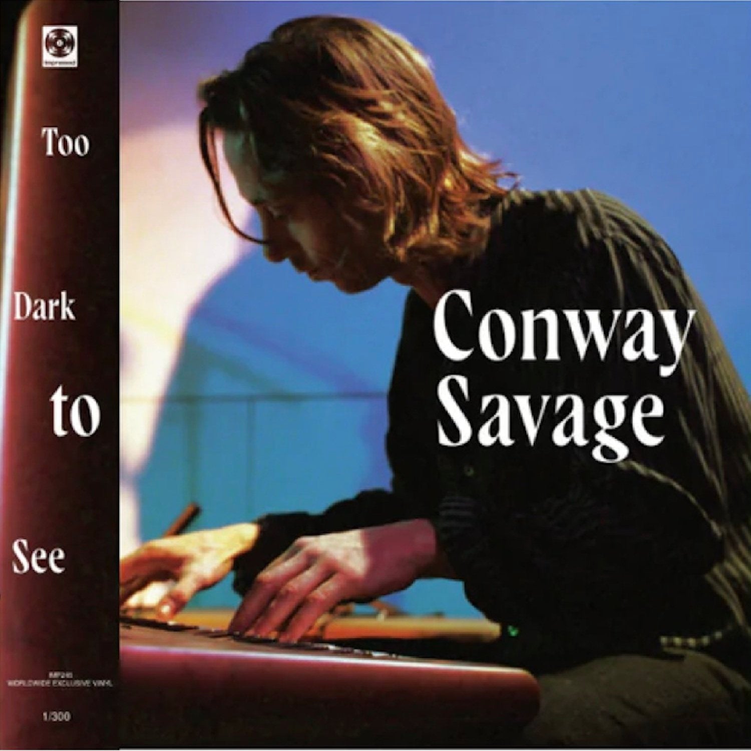 Savage, Conway - Too Dark To See