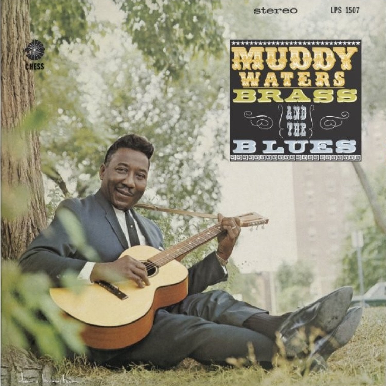 Waters, Muddy - Muddy, Brass And The Blues (Acoustic Sounds Series)