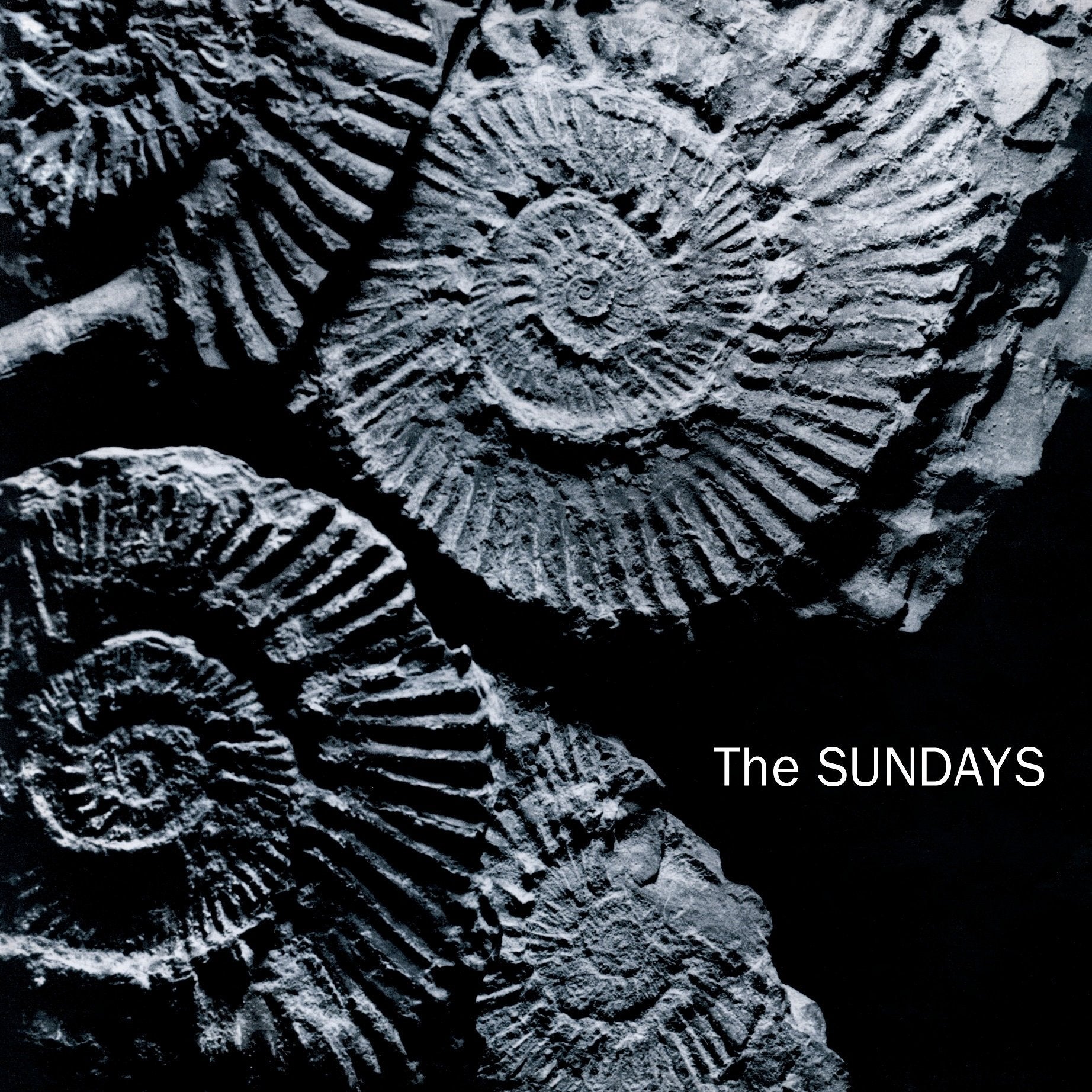 Sundays, The - Reading Writing And Arithmetic