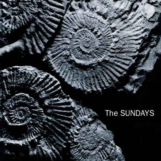 Sundays, The - Reading Writing And Arithmetic