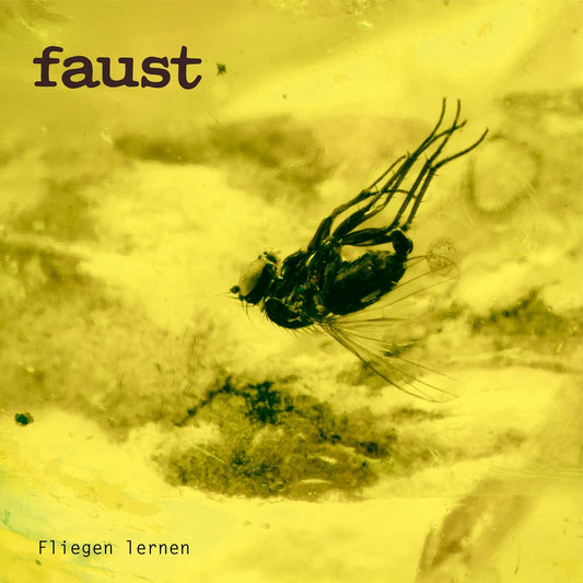 Faust - Fliegen Lernen (Curated By Gunther Wüsthoff)