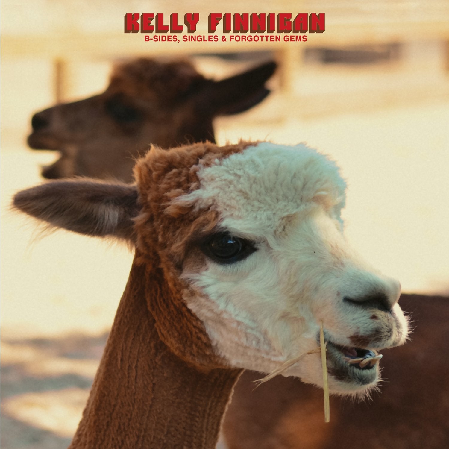 Finnigan, Kelly (Monophonics) - B-Sides, Singles & Forgotten Gems