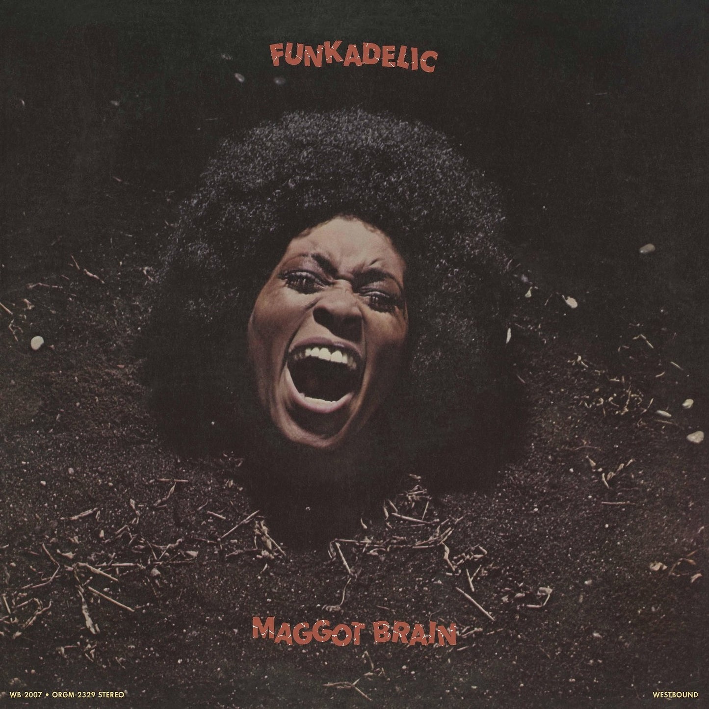 Funkadelic - Maggot Brain