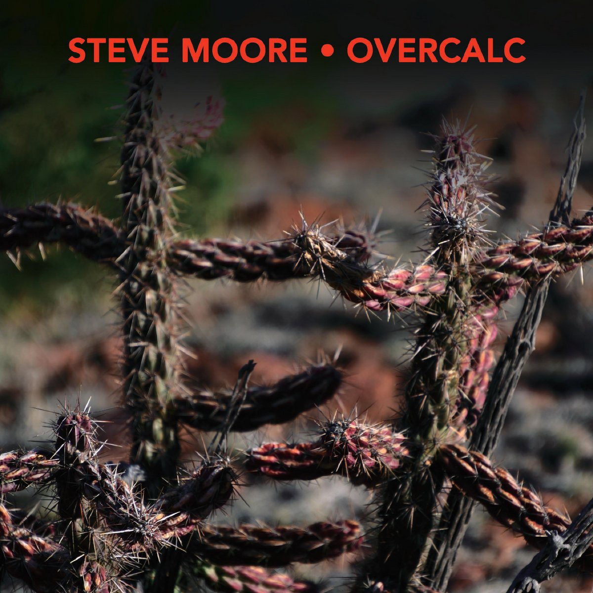 Moore, Steve (Zombi) & Overcalc - Calyx