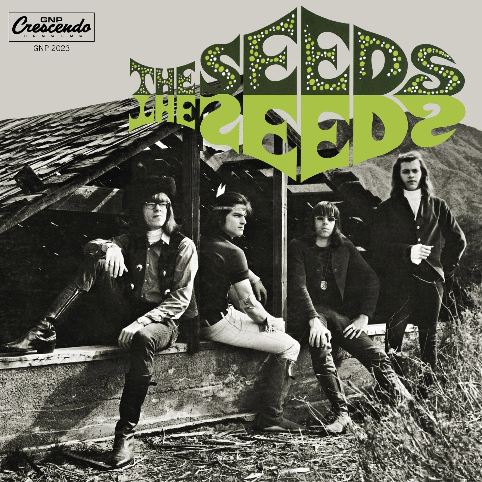 Seeds, The - The Seeds