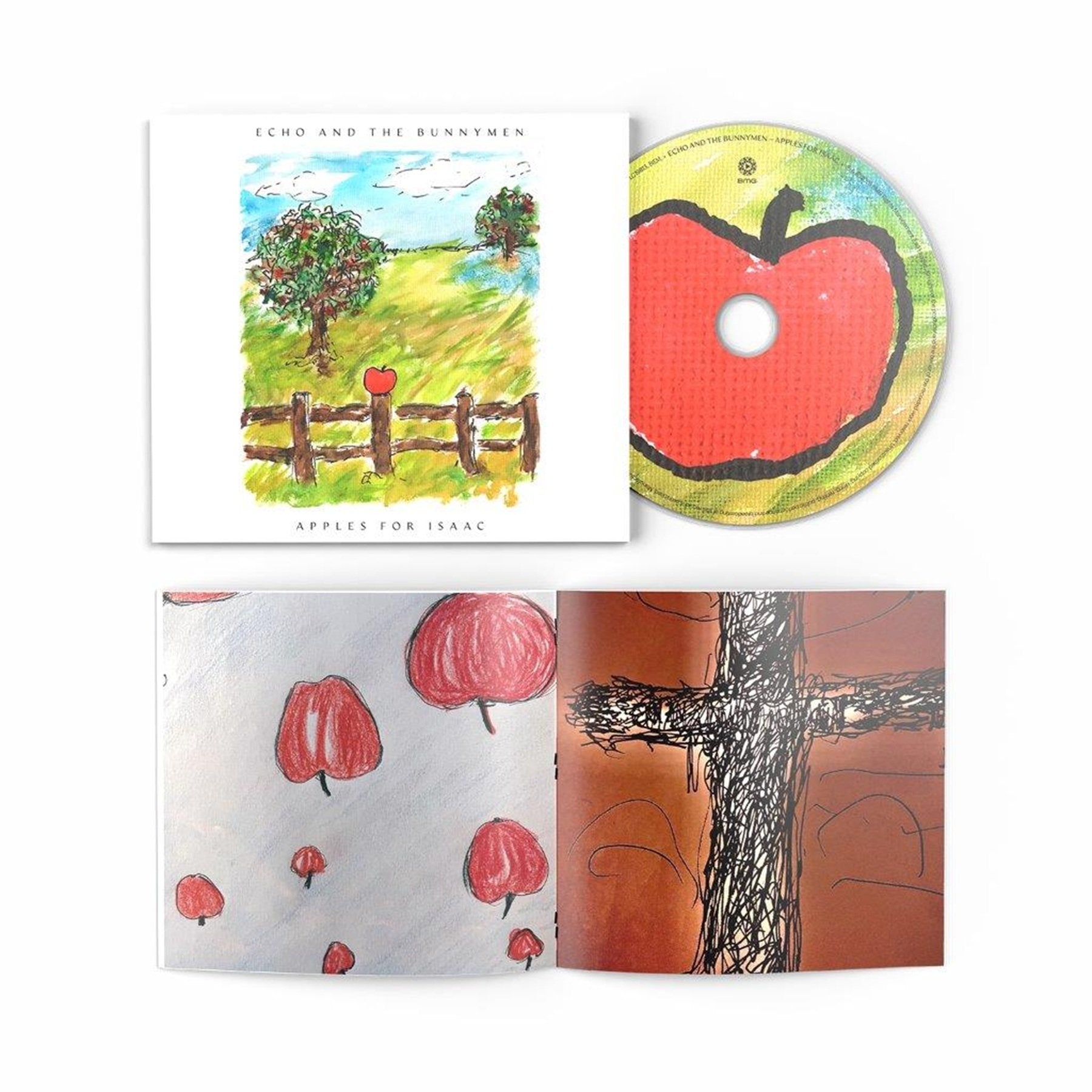 CD