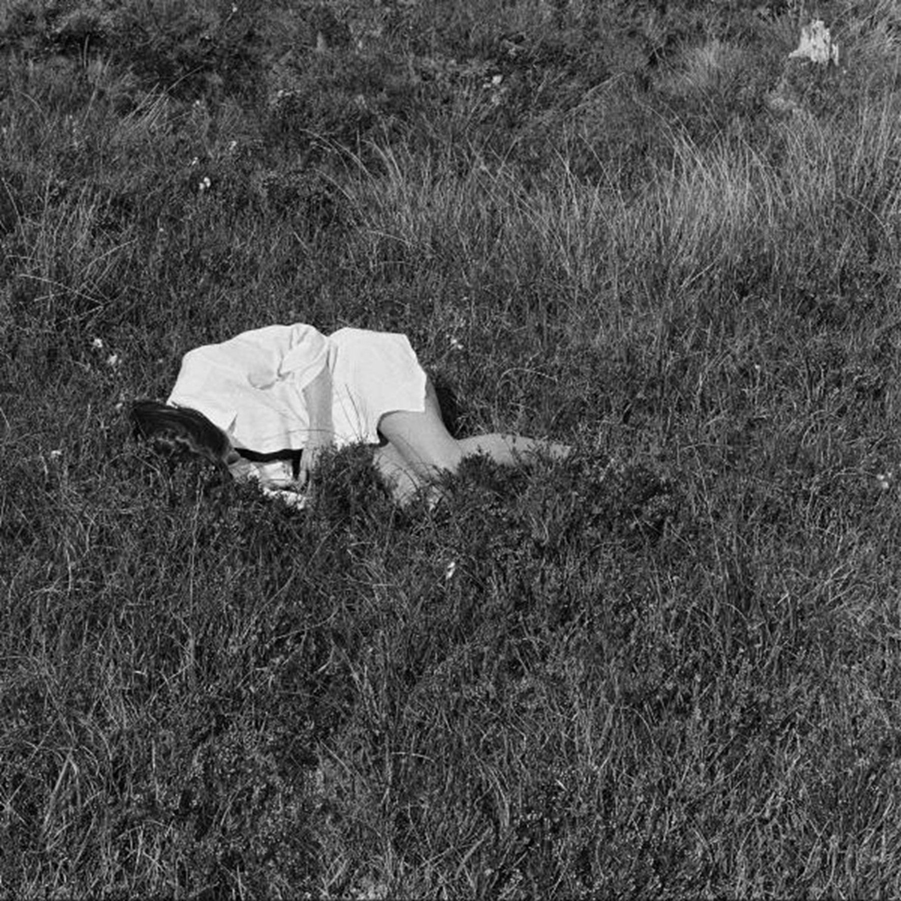 Winder-Lind, Nina (The New Eves) - Wild Love