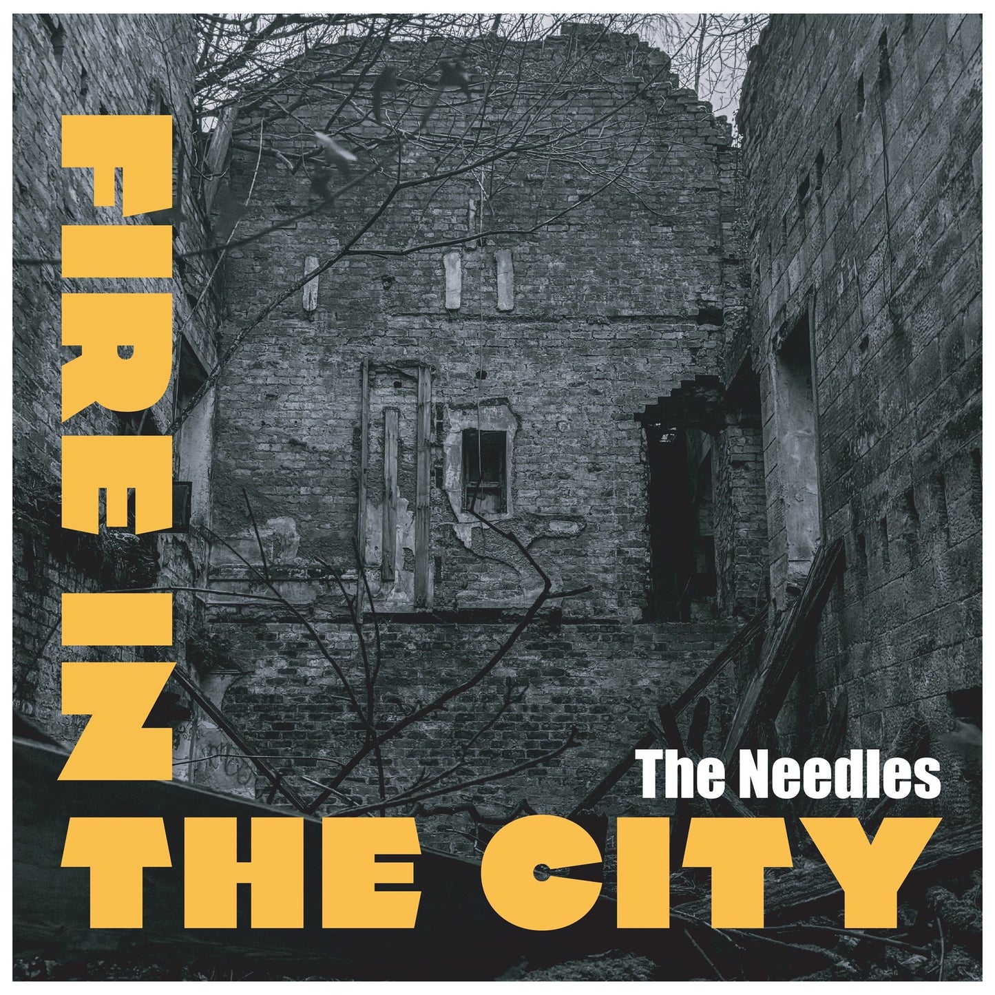 Needles, The - Fire In The City