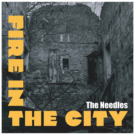 Needles, The - Fire In The City