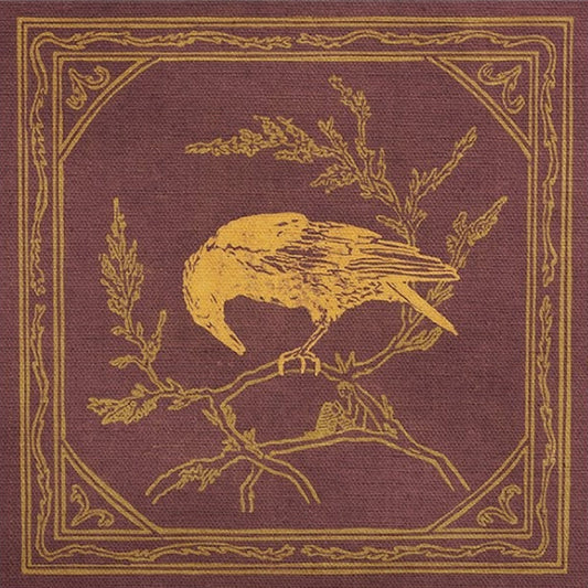 Curiosity Shop - Bound For The Sky