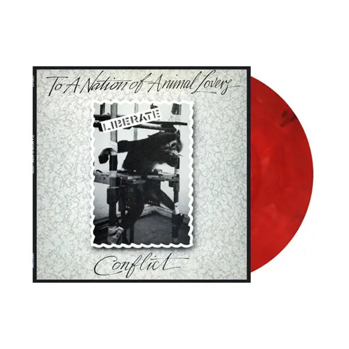 Cherry Coloured Eco LP