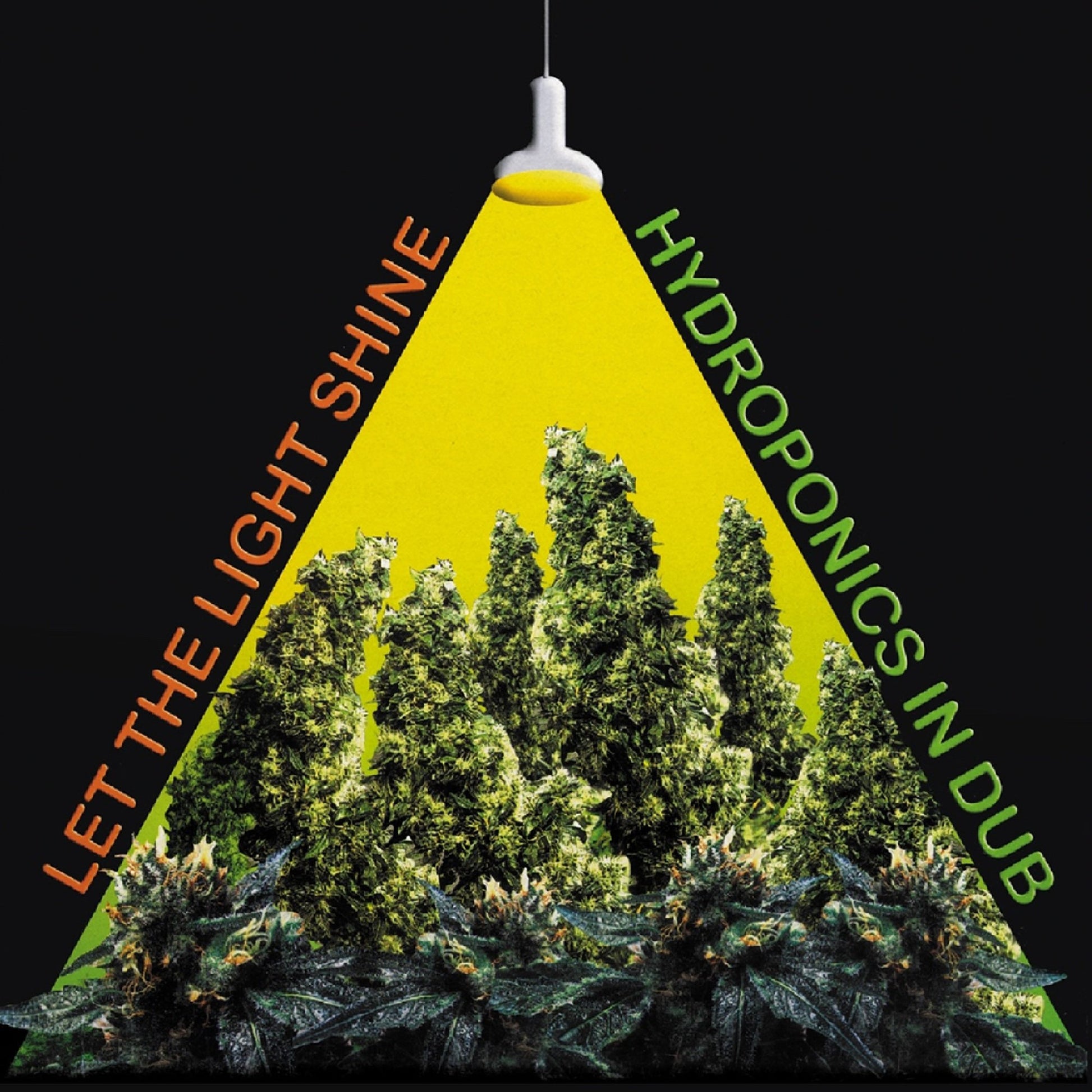 Hydroponics - Let the Light Shine