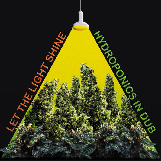 Hydroponics - Let the Light Shine