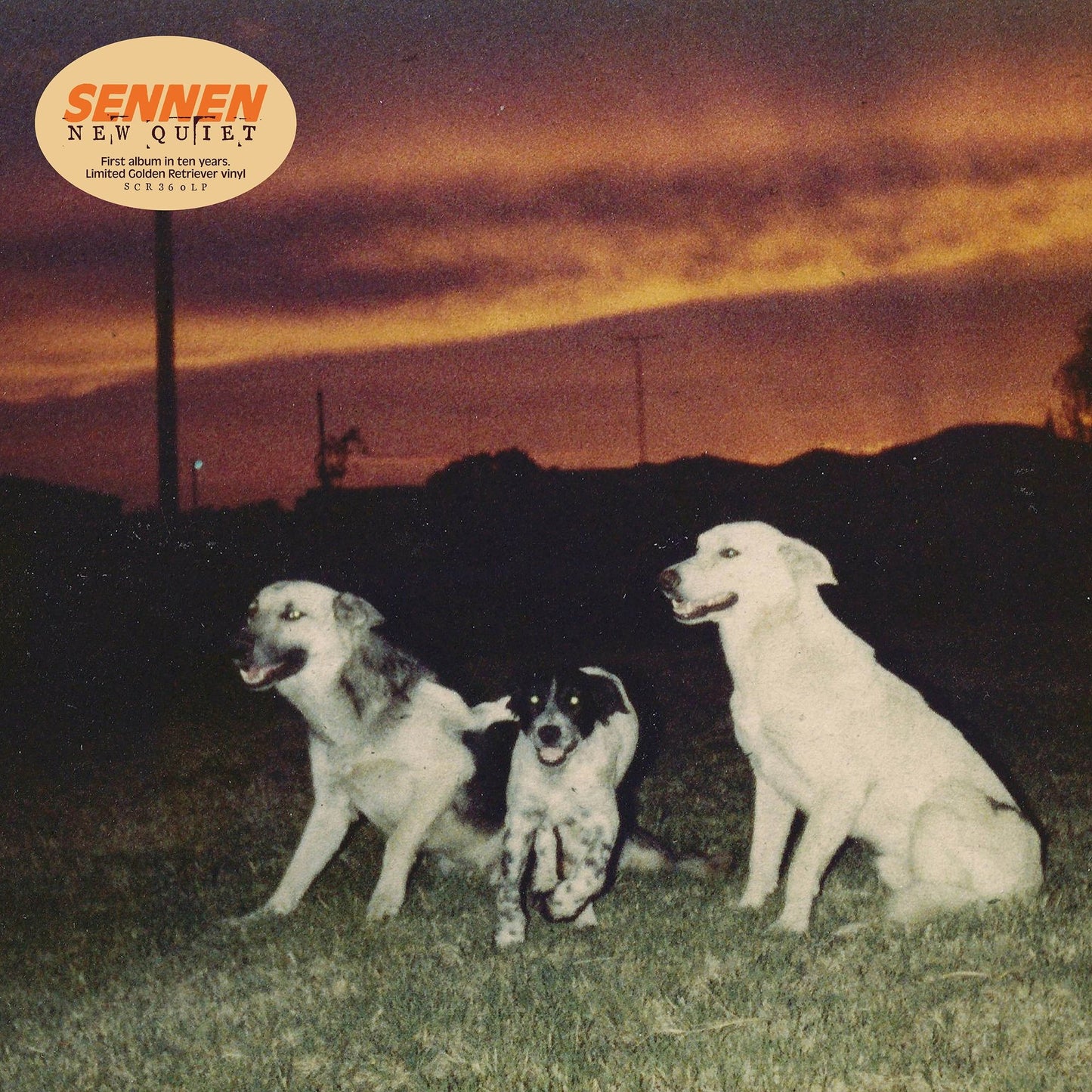 Sennen - New Quiet