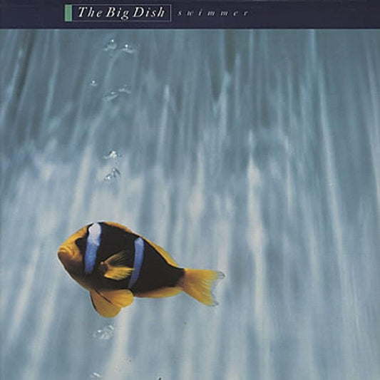Big Dish, The - Swimmer (40th Anniversary Edition)