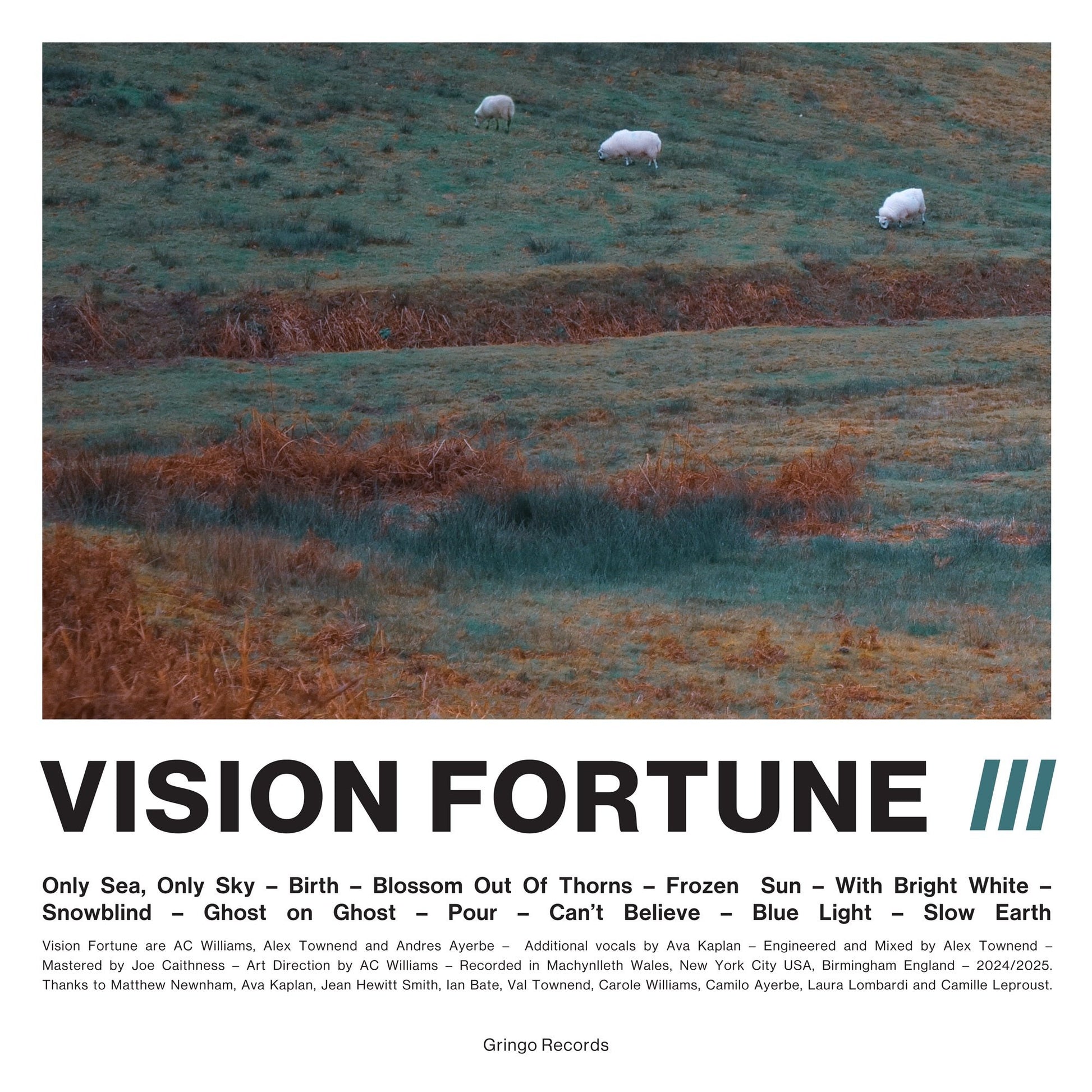 Vision Fortune - III