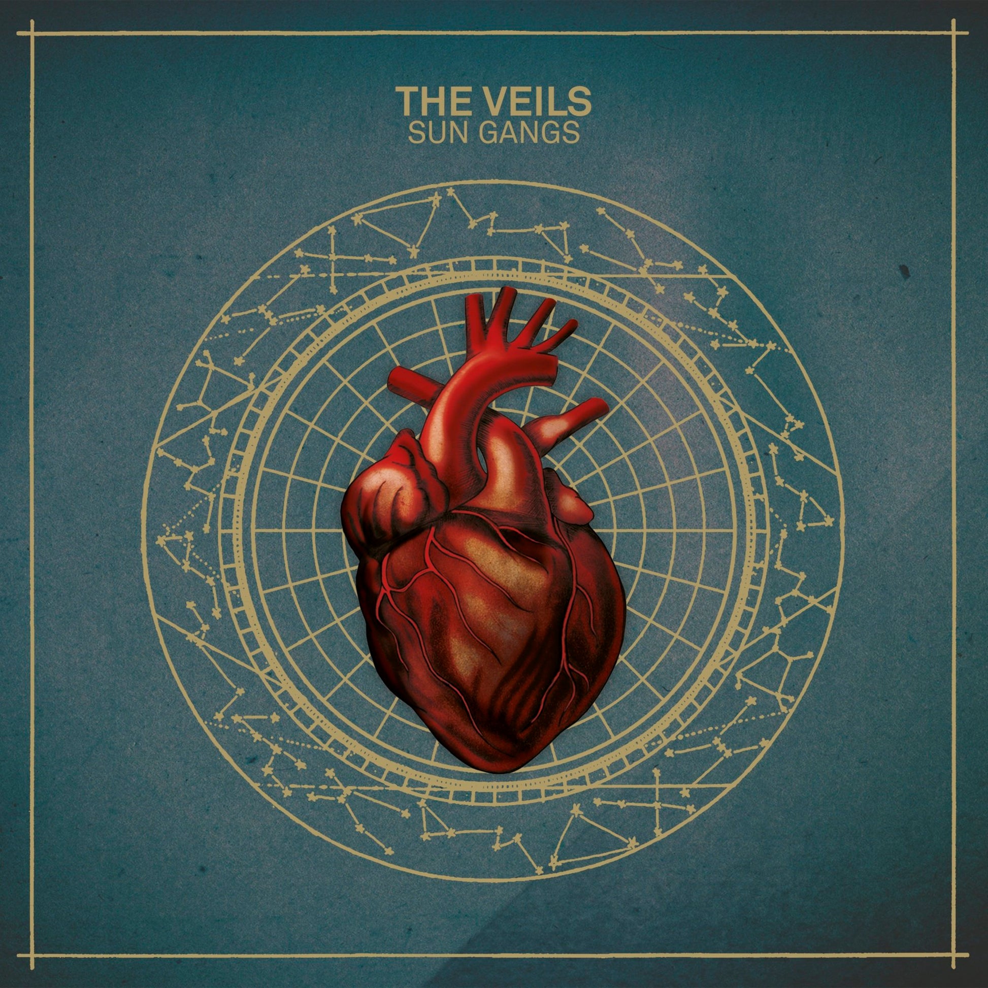 Veils, The - Sun Gangs