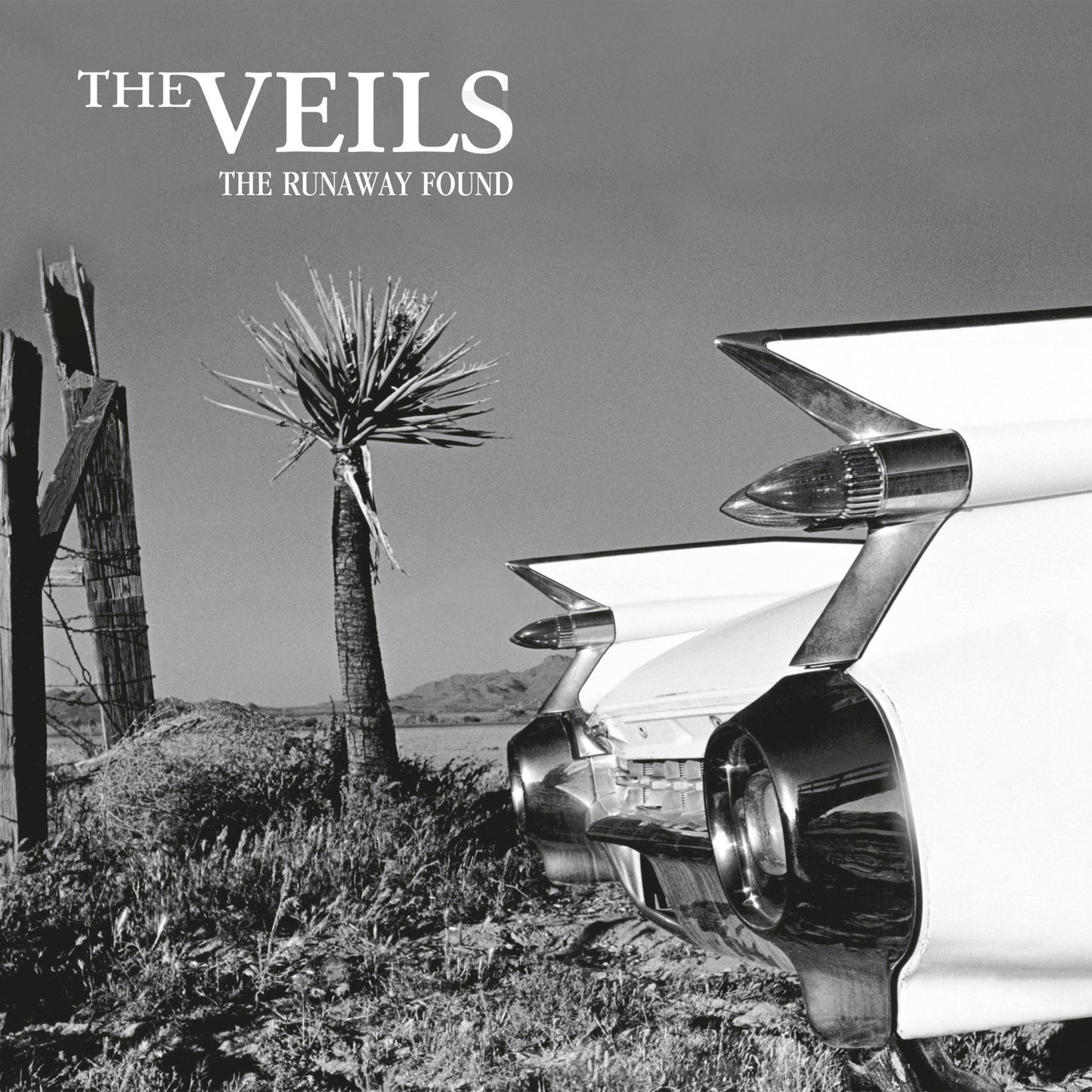 Veils, The - The Runaway Found