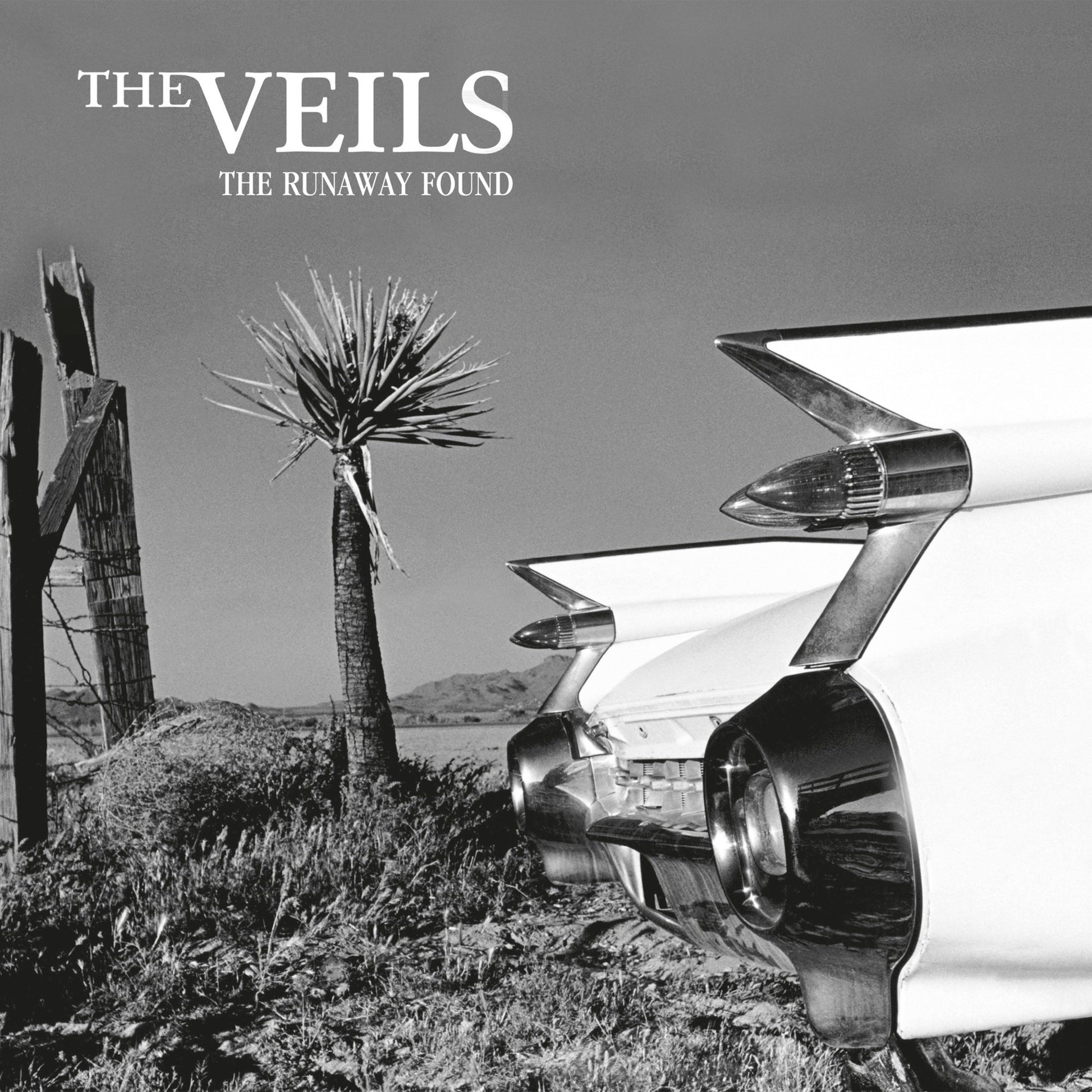 Veils, The - The Runaway Found