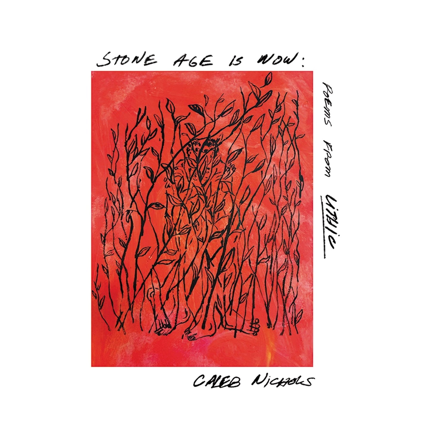 Nichols, Caleb - Stone Age Is Now: Poems From Lithic