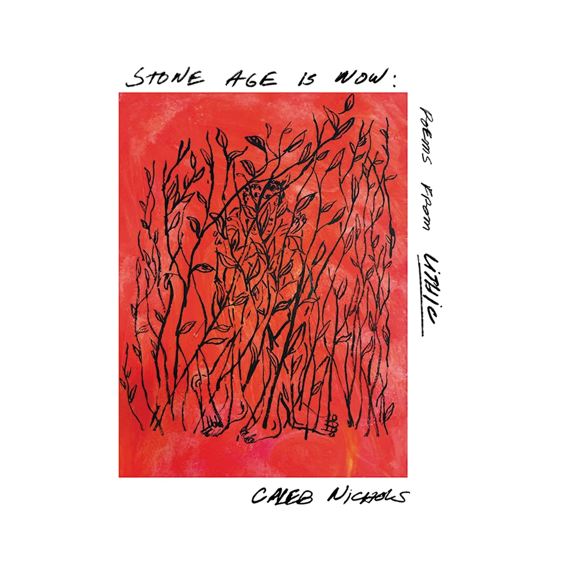 Nichols, Caleb - Stone Age Is Now: Poems From Lithic