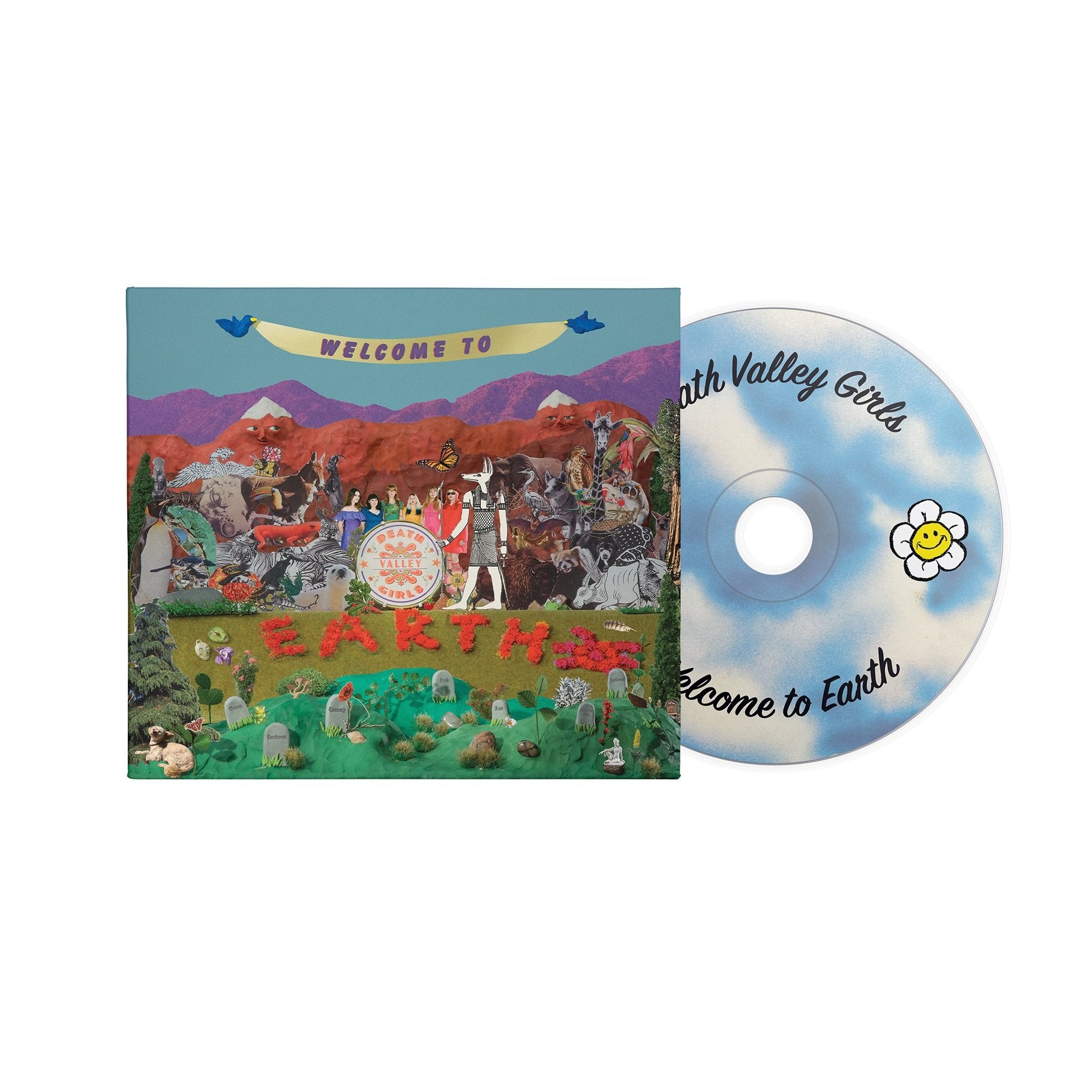 CD