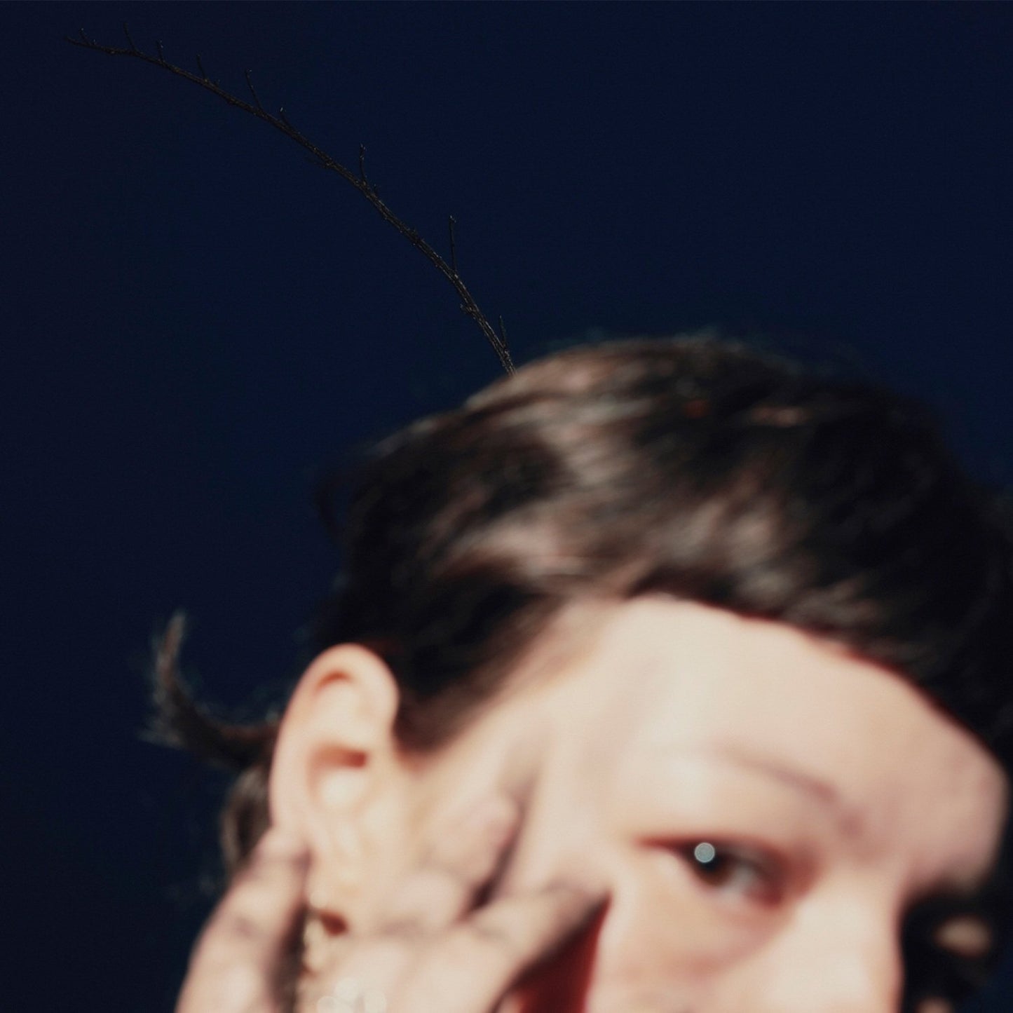 Collage, Regina - Horizont