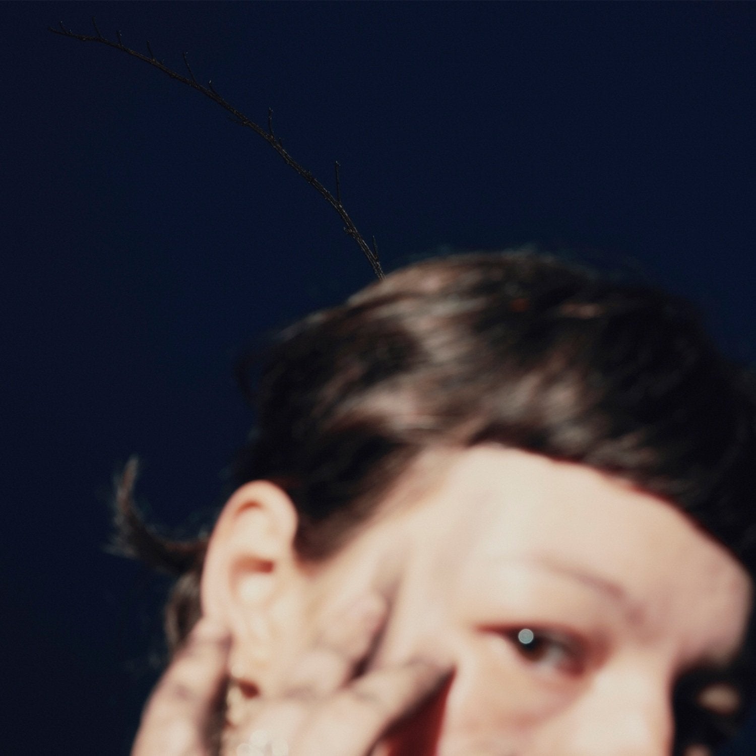 Collage, Regina - Horizont